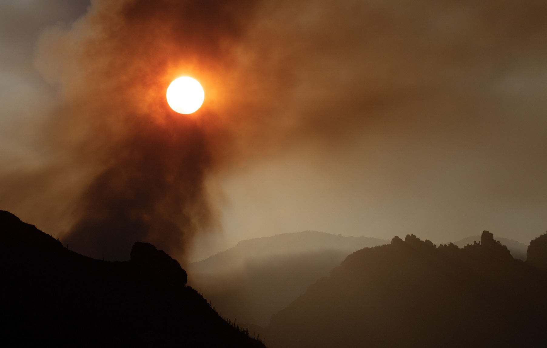 Best of 2020 photos, Arizona Daily Star